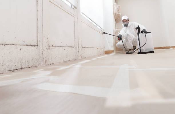 24/7 Emergency Attic Mold Remediation experts in Magnolia, NJ