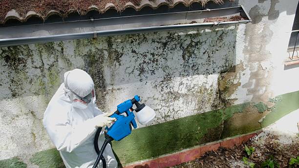 Top rated local Attic Mold Remediation specialists in Magnolia, NJ
